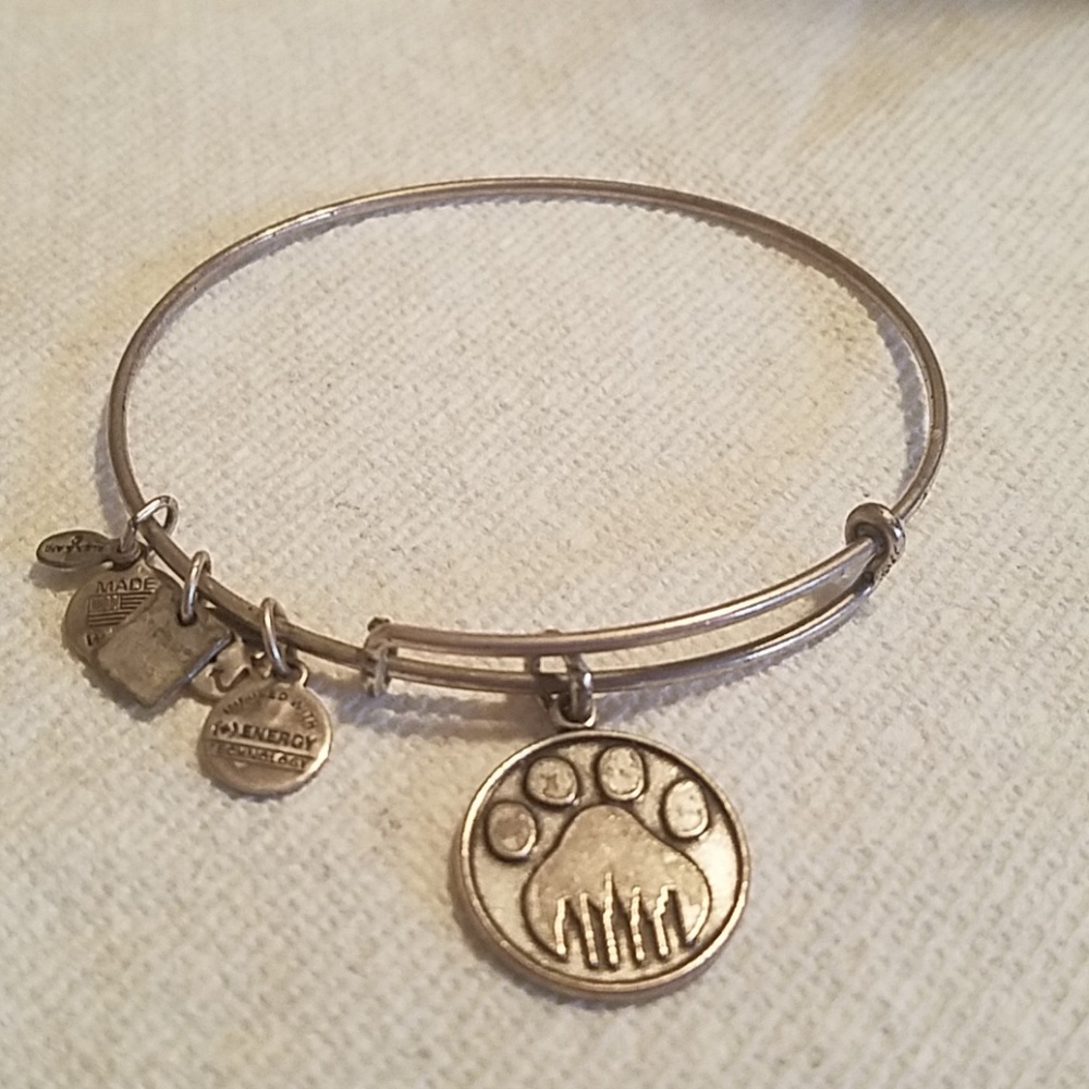 Alex and Ani Silver 2012 Charity by Design